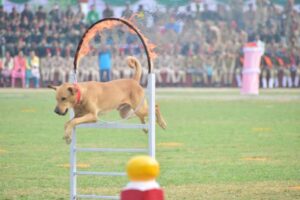 FB IMG 1668012490556