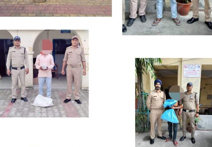 Taking strict action against illegal drugs, the police team formed.