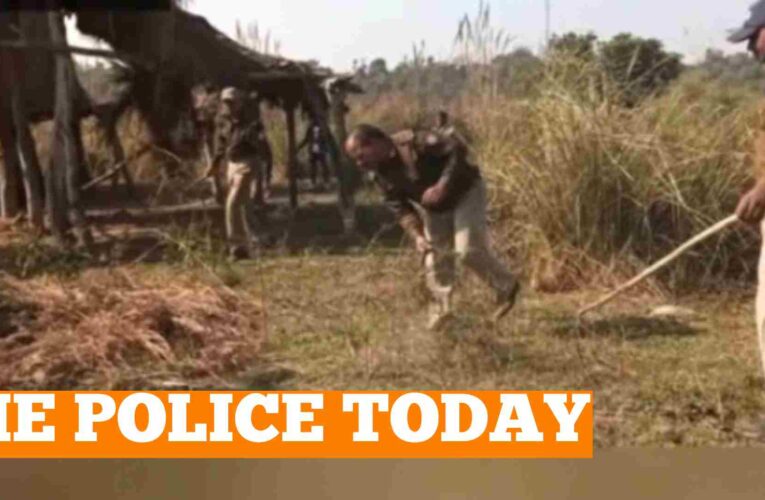 30-40 bighas of Gujjars’ camps, the Panwad plants were cut and burnt at various places,3 child died by eating them.Gujjars and their children were informed about the Panwad plant.