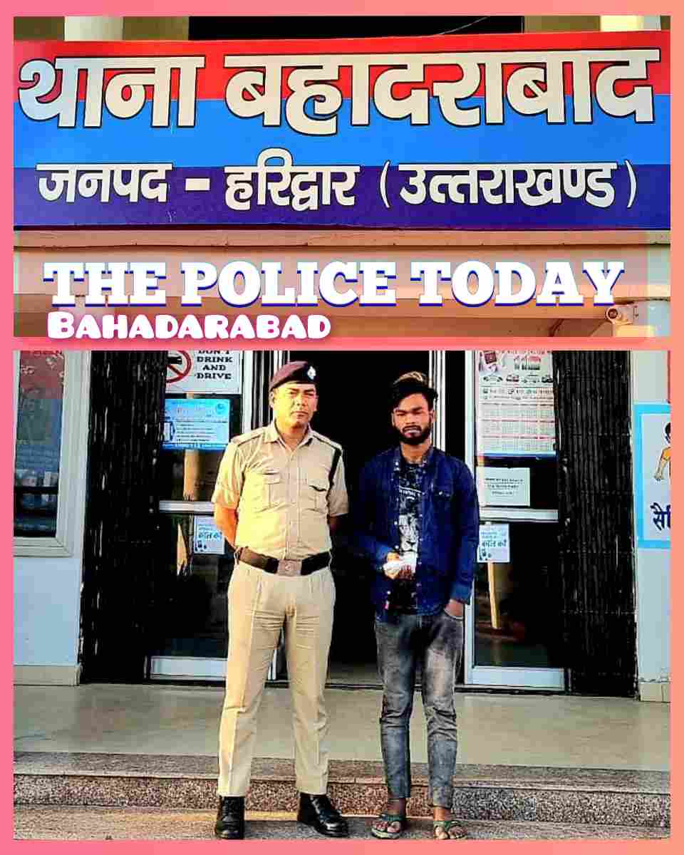 InCollage 20230401 115628055