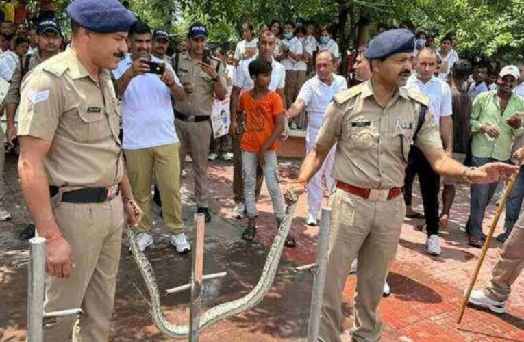 The python that came out of the Ganges created a stir at Vishnu Ghat, SP Swapan Kishore caught and grabbed its mouth.