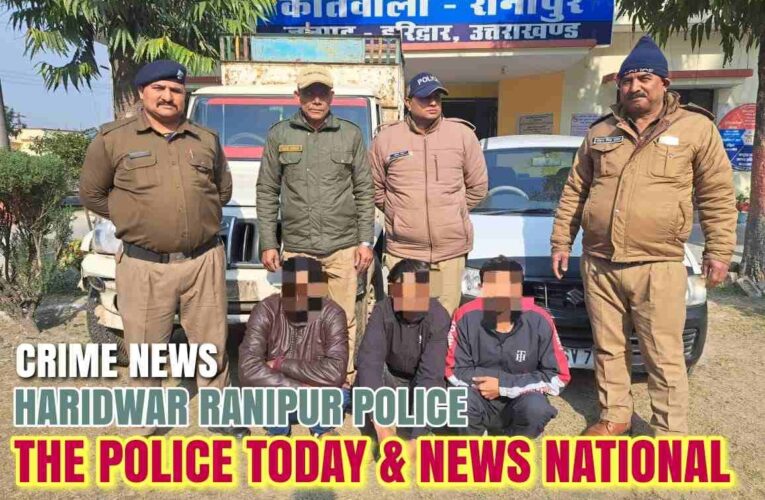 03 vicious accused of vehicle theft caught, search for accomplice continues, Alto car and stolen vehicle Mahindra pickup recovered in the incident, Mahindra pickup was taken to steal cattle.