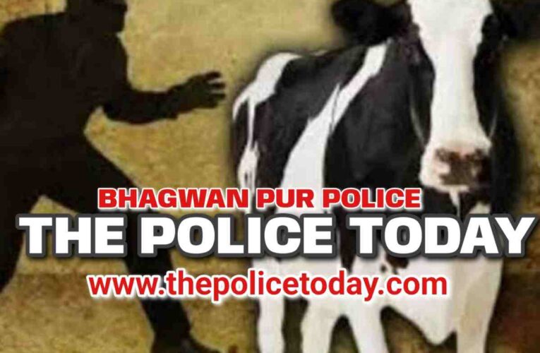 Haridwar BHAGWANPUR police is continuously taking action against cow smugglers under leadership of the captain, case registered against three absconding accused, search started,